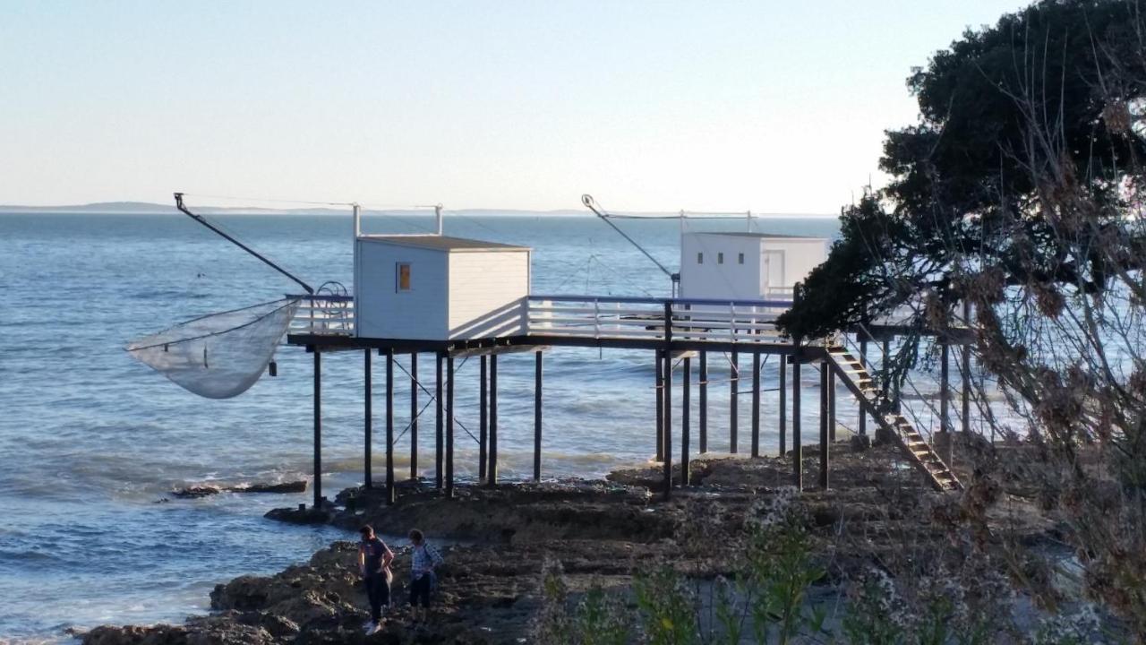 Le Clos Des Oiseaux Saintes Exteriör bild