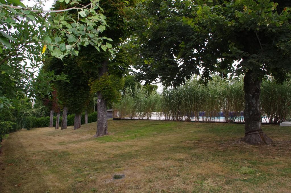 Le Clos Des Oiseaux Saintes Exteriör bild