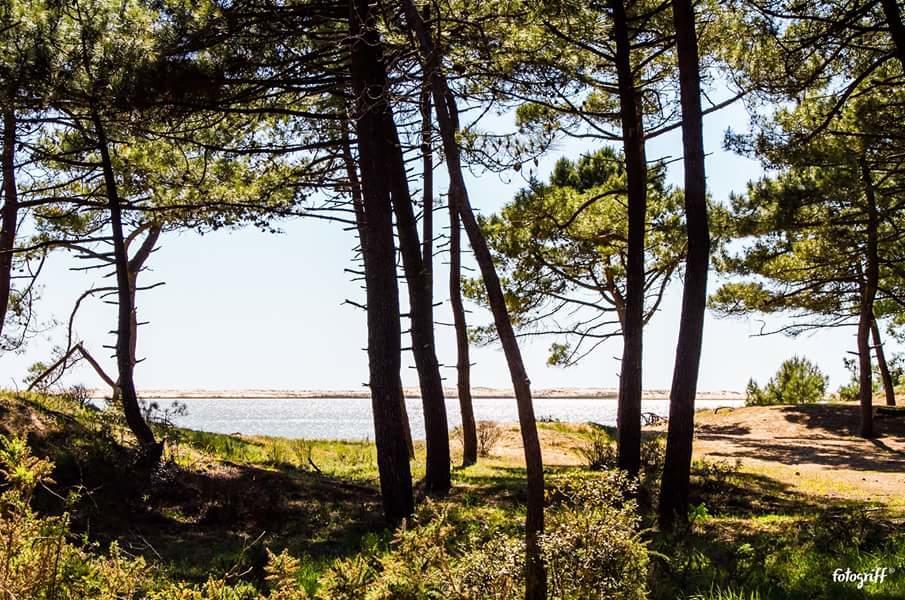 Le Clos Des Oiseaux Saintes Exteriör bild