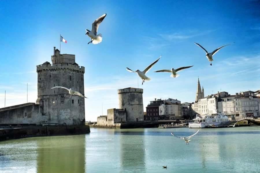 Le Clos Des Oiseaux Saintes Exteriör bild